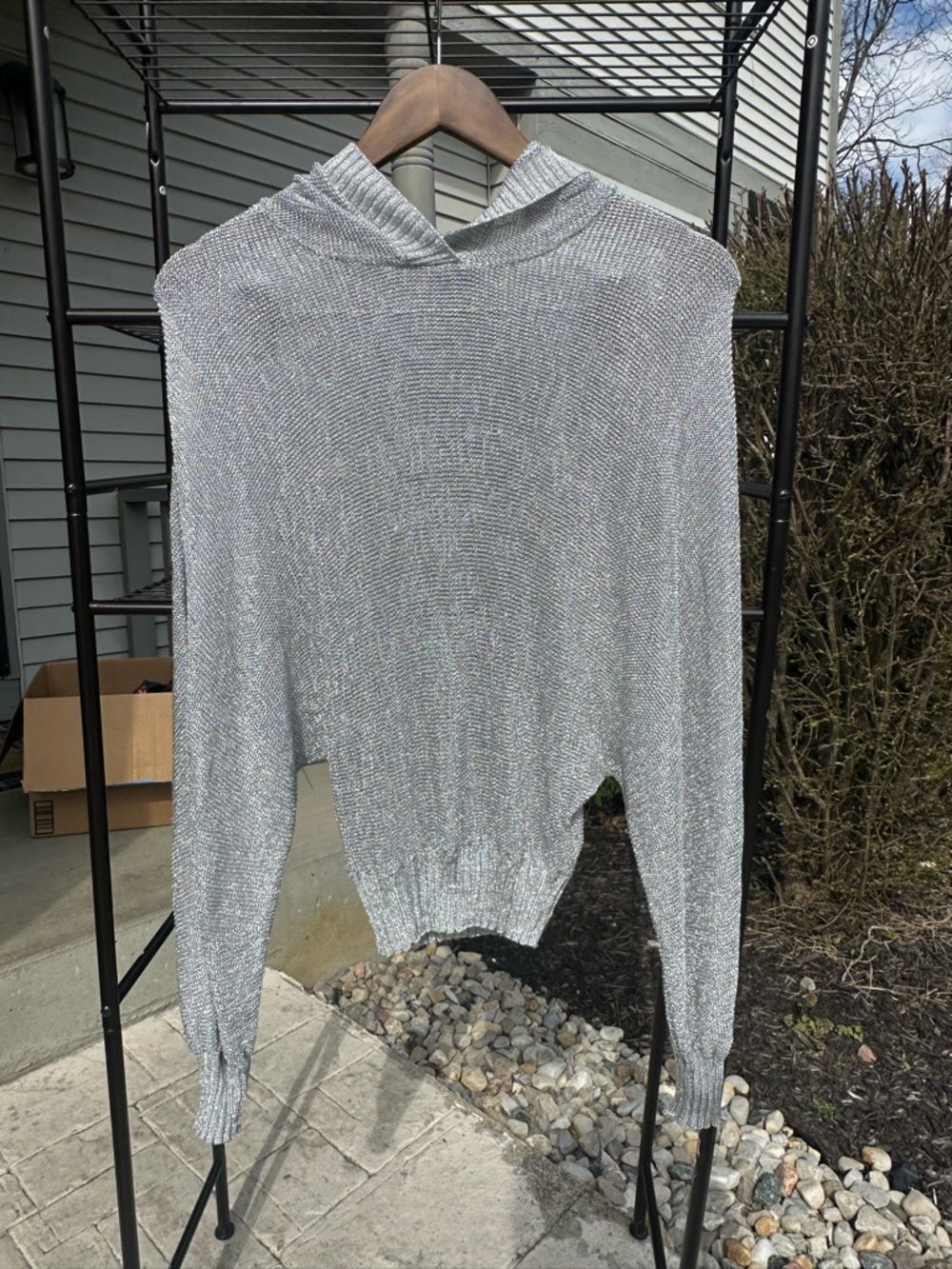 Zara Silver Metallic Hooded Long Sleeve Top